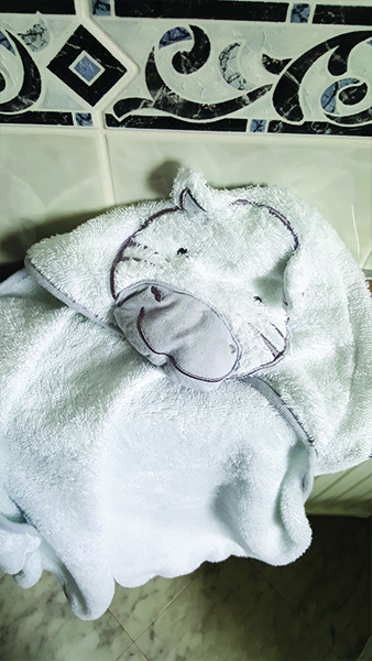 A day in my life - Talilifestyle.com