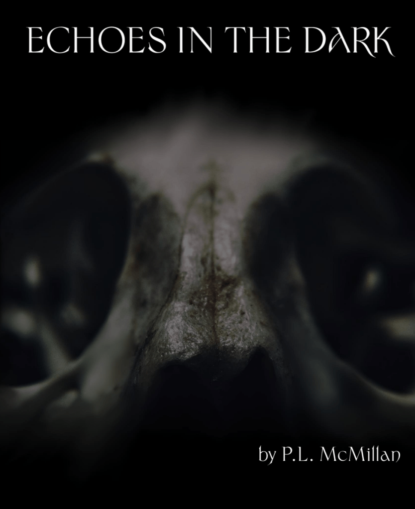 The front cover of book 'Echoes in the Dark' by P.L. McMillan
